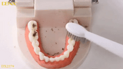 Denx - Sonic Toothbrush