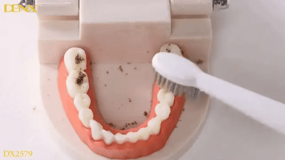 Denx - Sonic Toothbrush